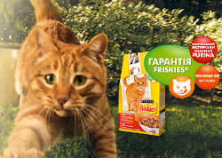 friskies-main.png