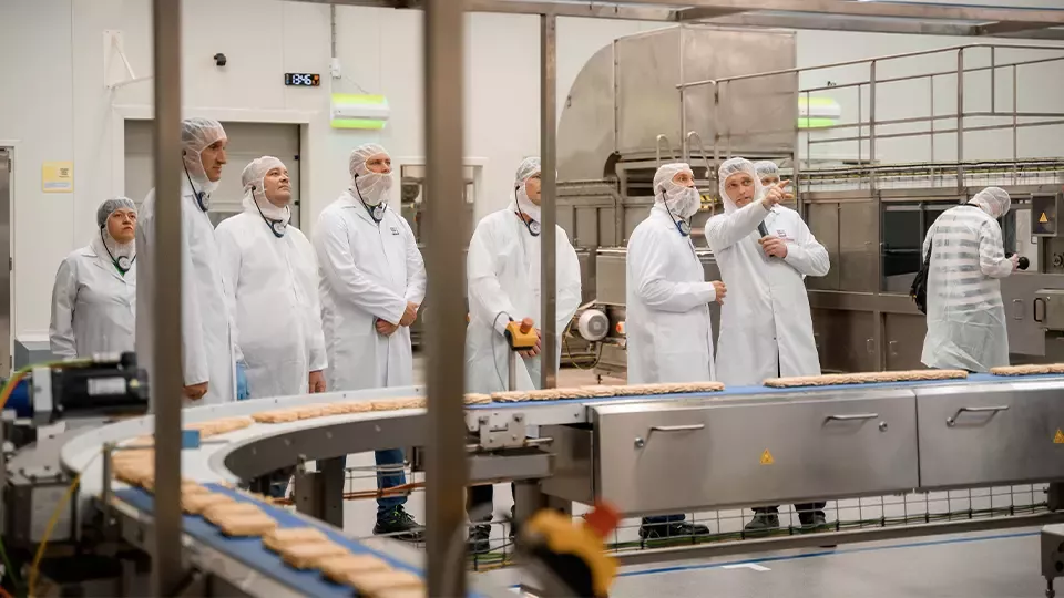 Food Production Line at Nestlé Factory